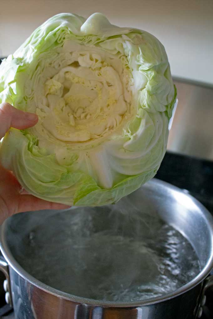 placing cabbage in pot