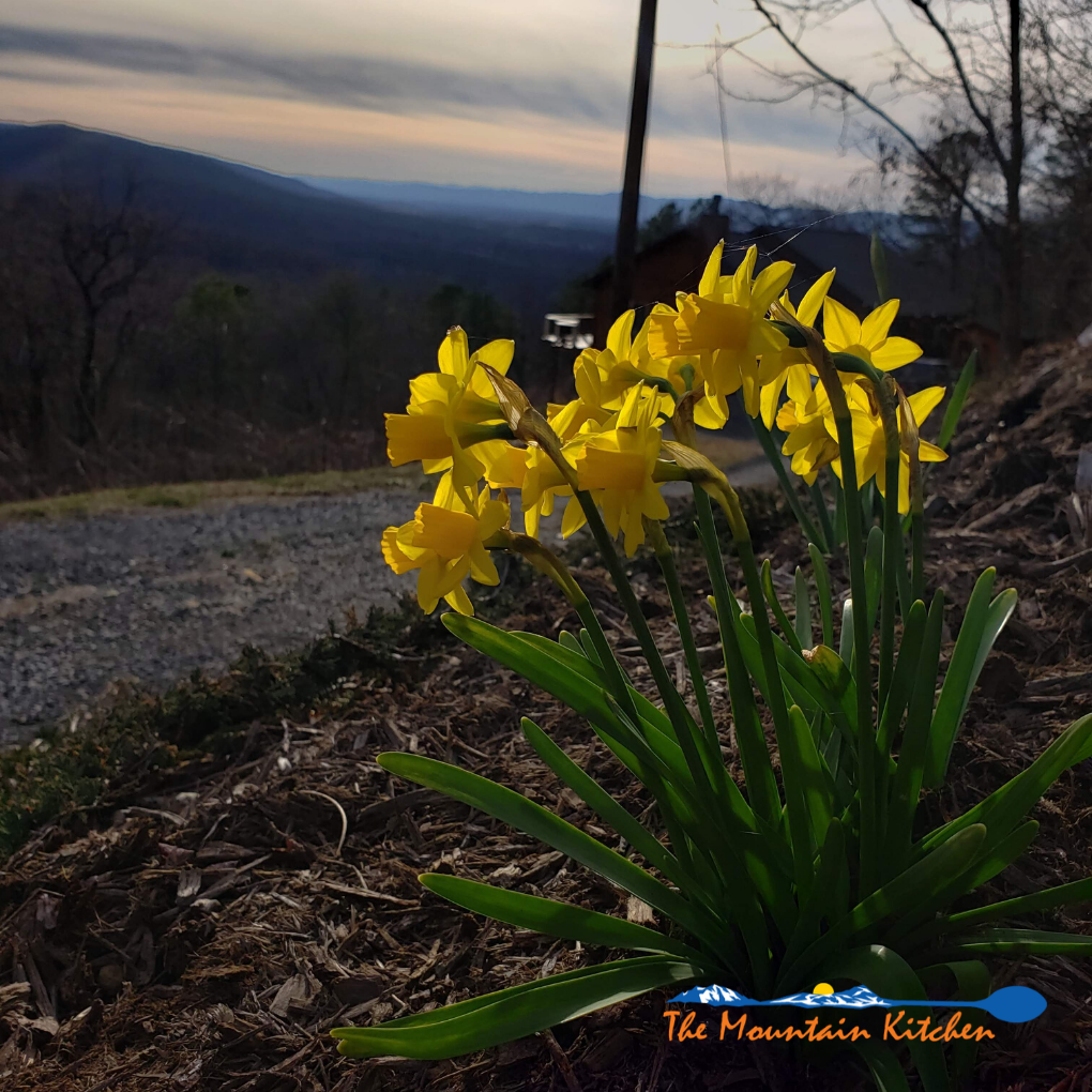 march mountain moments 2020
