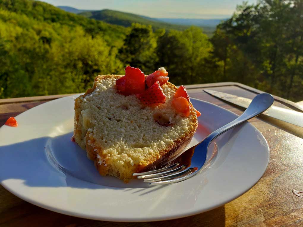 sliced of cake on plate with mountain view