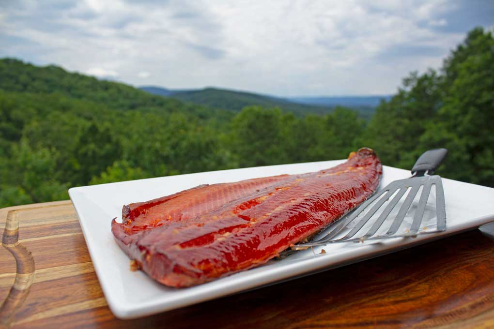 honey smoked salmon with honey glaze ready to eat with mountain view