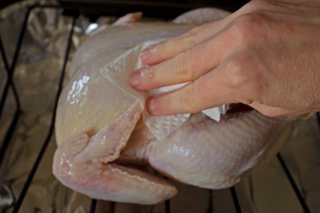 drying chicken with paper towels