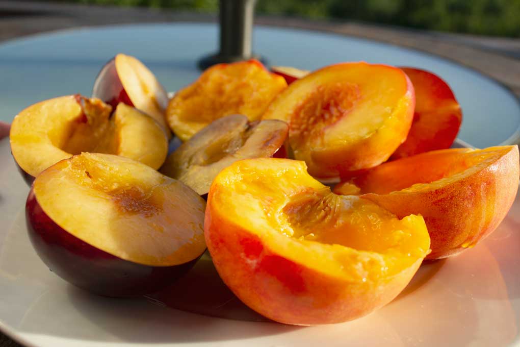 raw peaches and plums