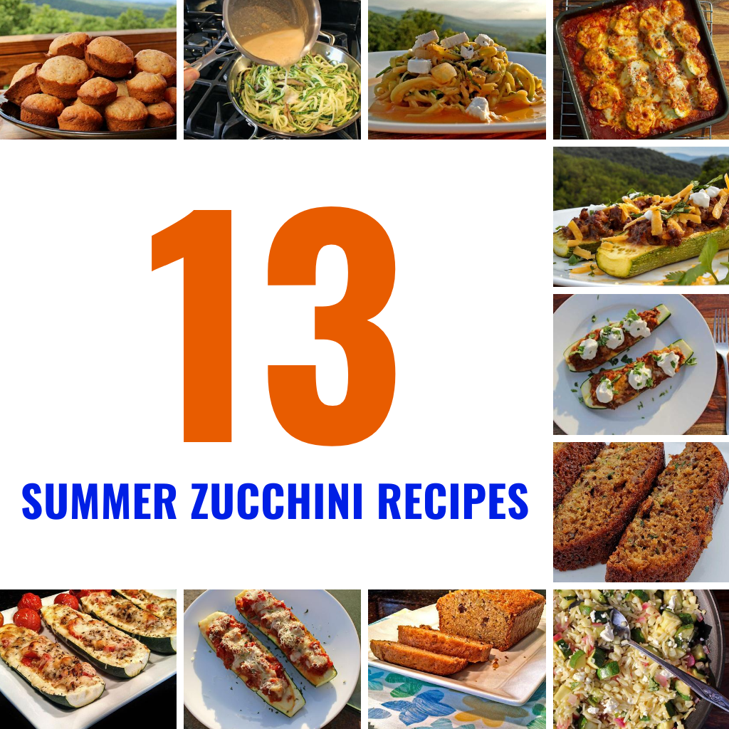 13 SUMMER ZUCCHINI RECIPES