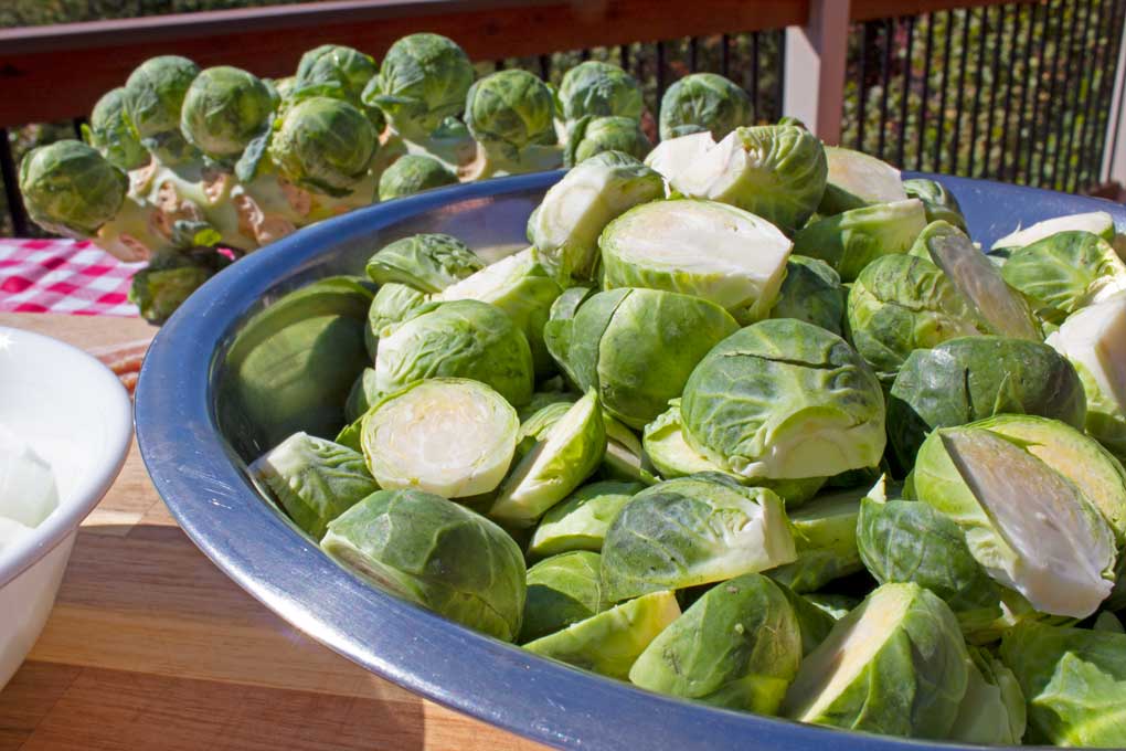 bowl full of trimmed and sliced brussels sprouts