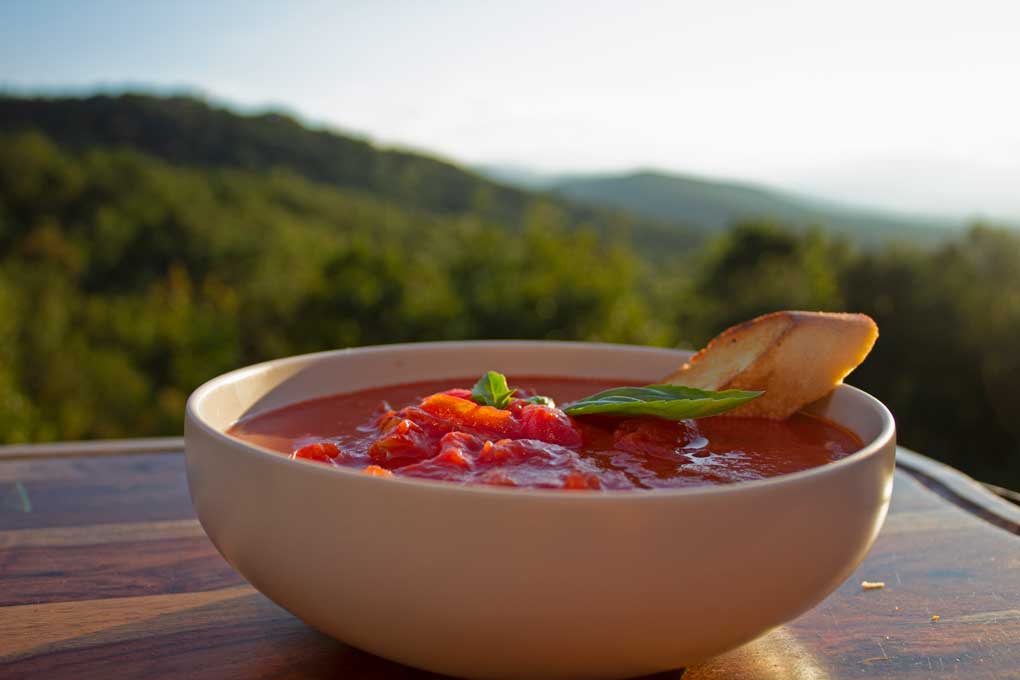 bowl of grilled tomato soup with mountain view