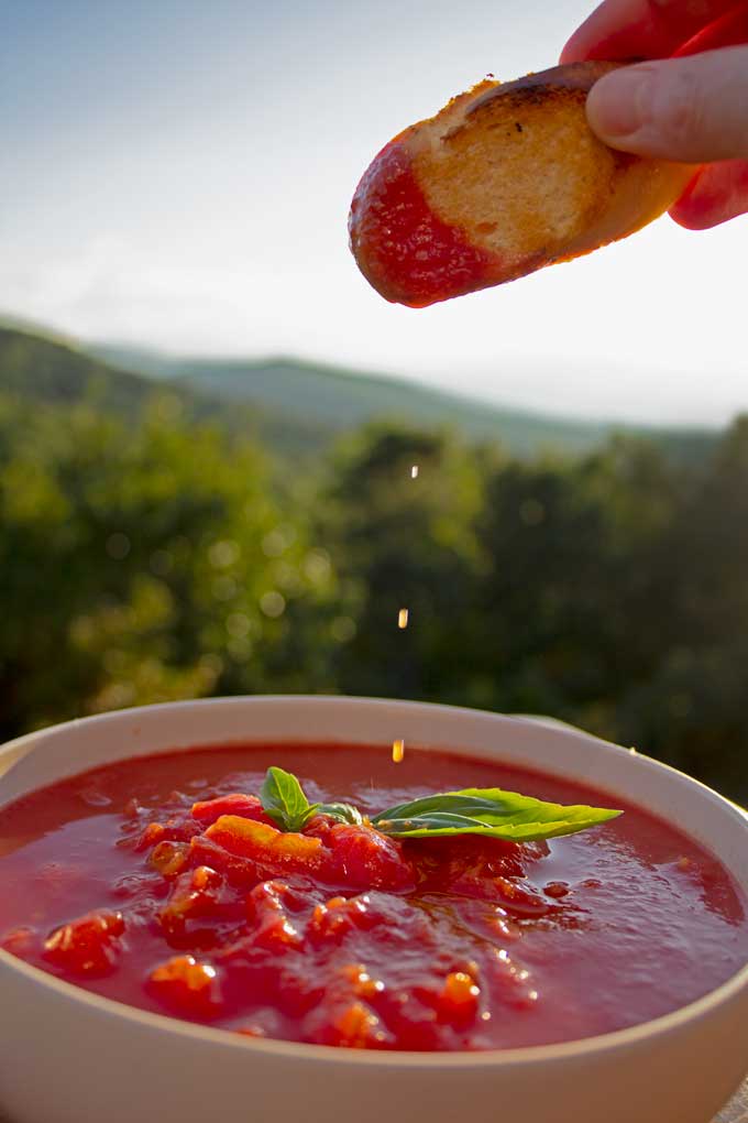 dripping grilled toast into grilled tomato soup with mountain view