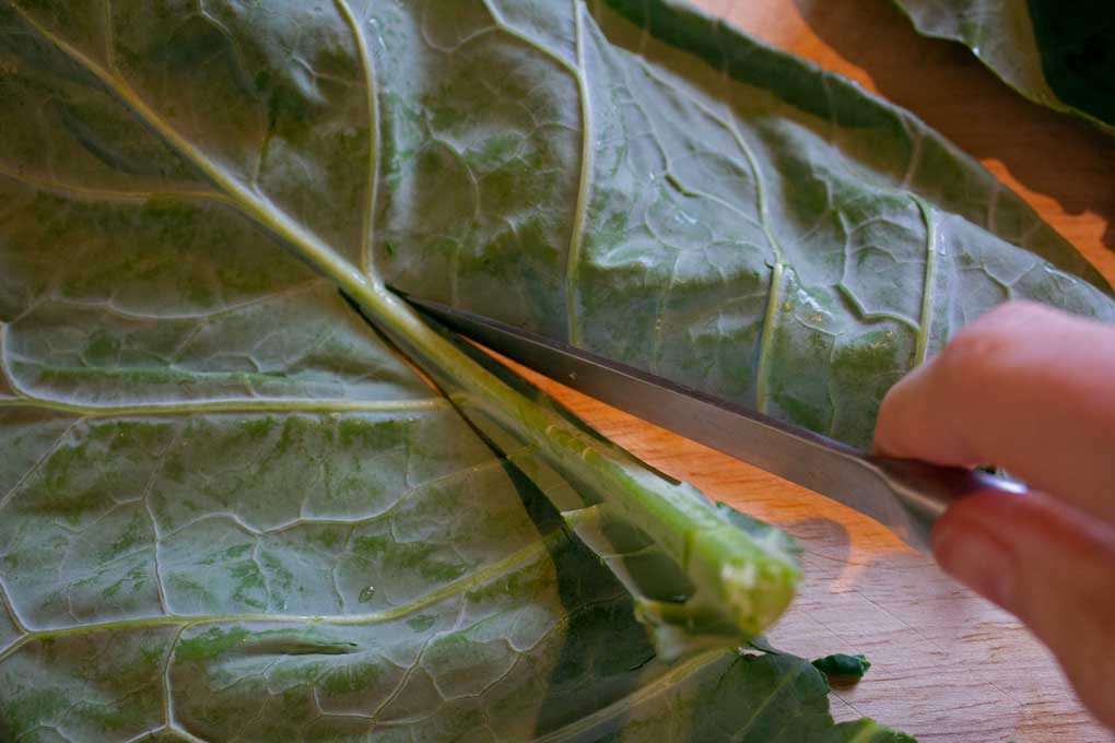 cutting stem from collard leaf