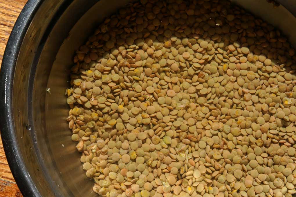 soaking lentils in bowl