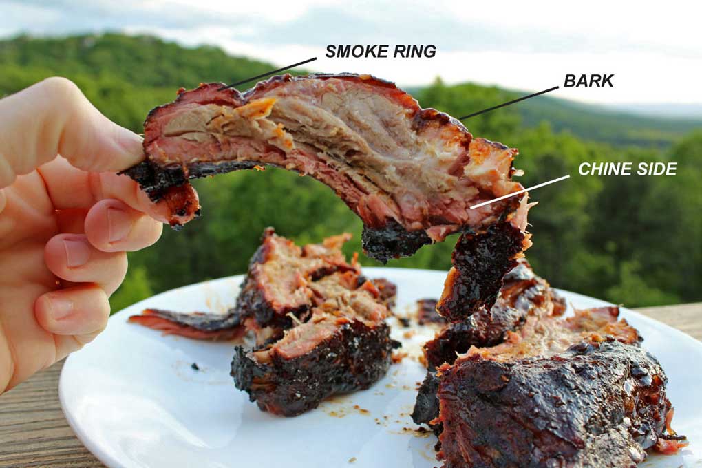 diagram of the baby back rib