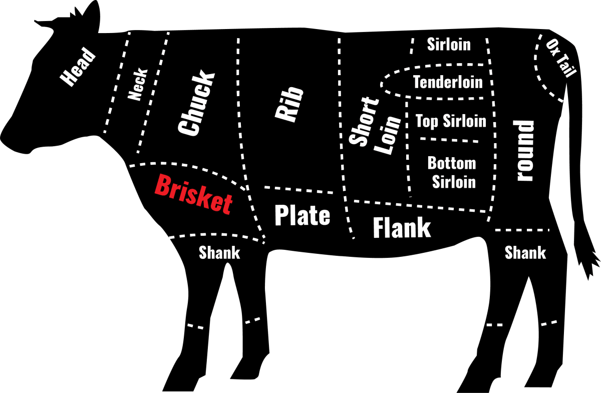 diagram of cow showing brisket