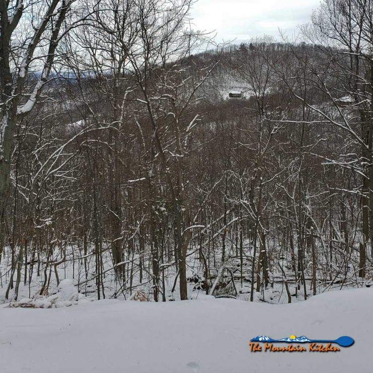 house on side of mountain