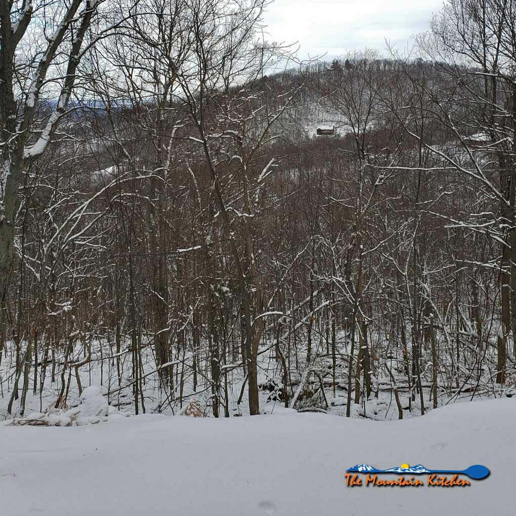 house on side of mountain