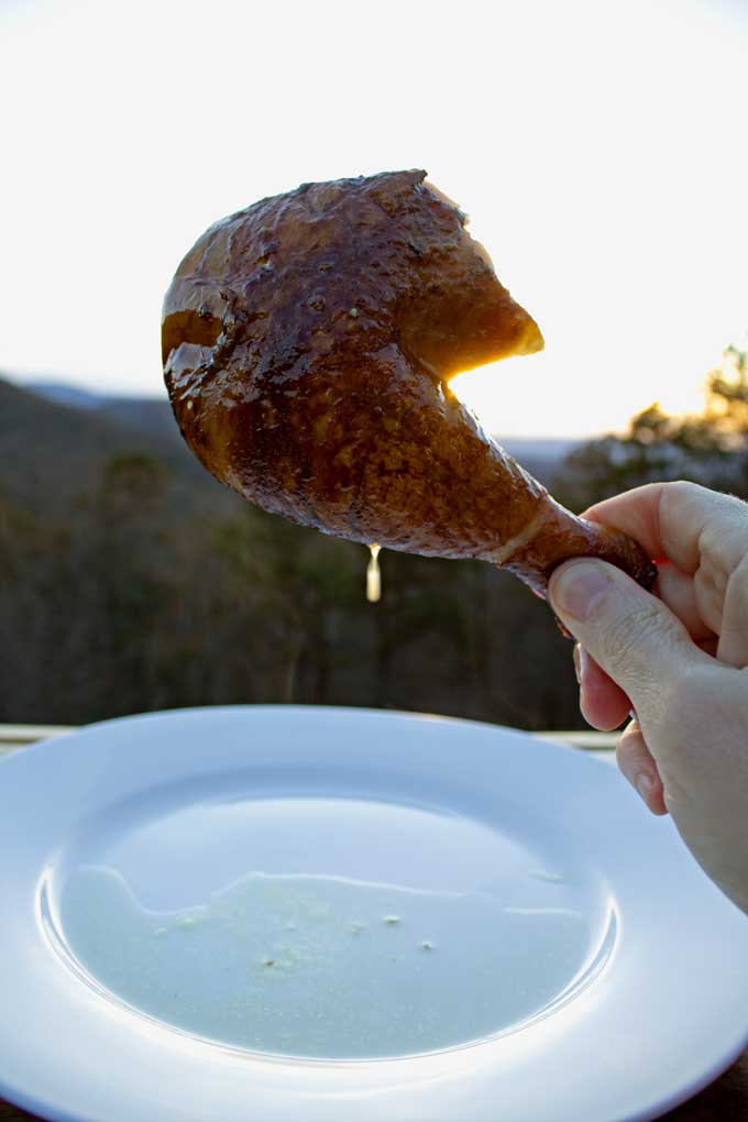 juicy dripping chicken leg