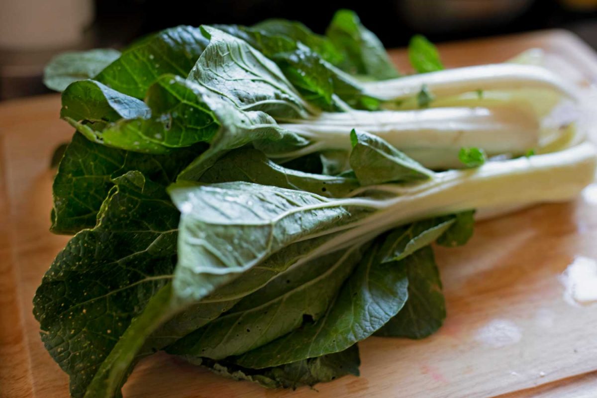head of bok choy