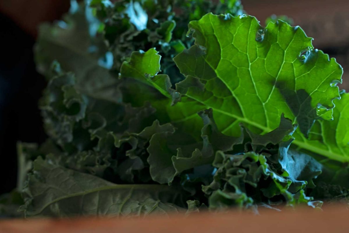kale leaves