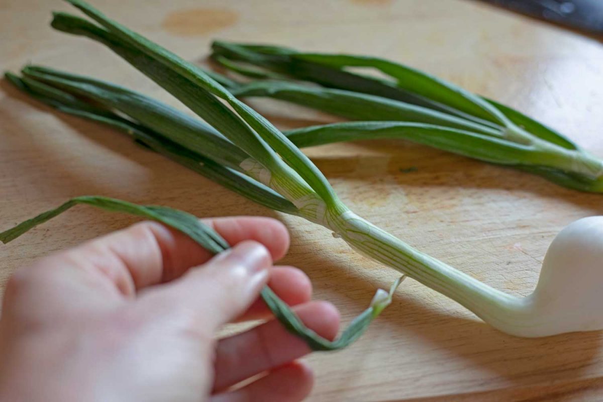 hand pulling off wilted stem of spring onions on cutting board