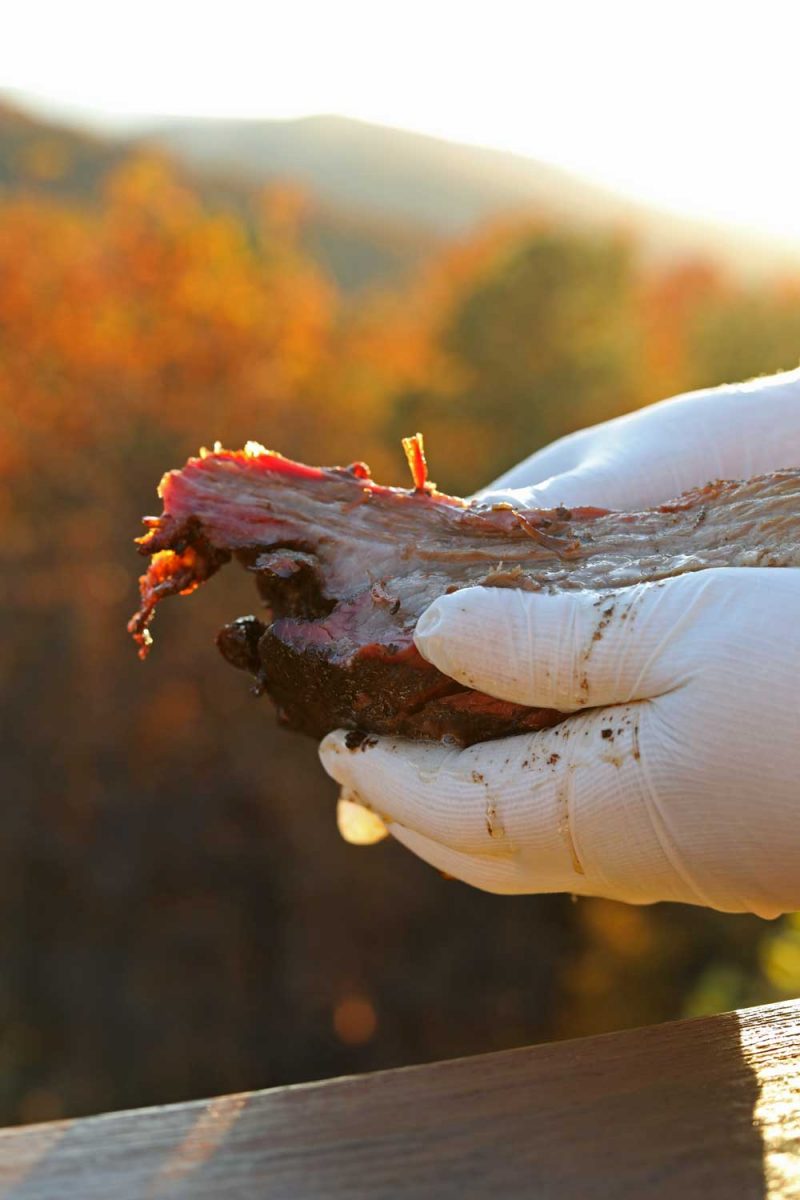 gloved hands holding brisket with mountain view