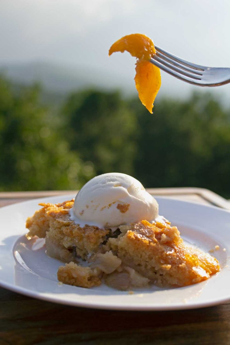slice of peach skillet cake with mountain view
