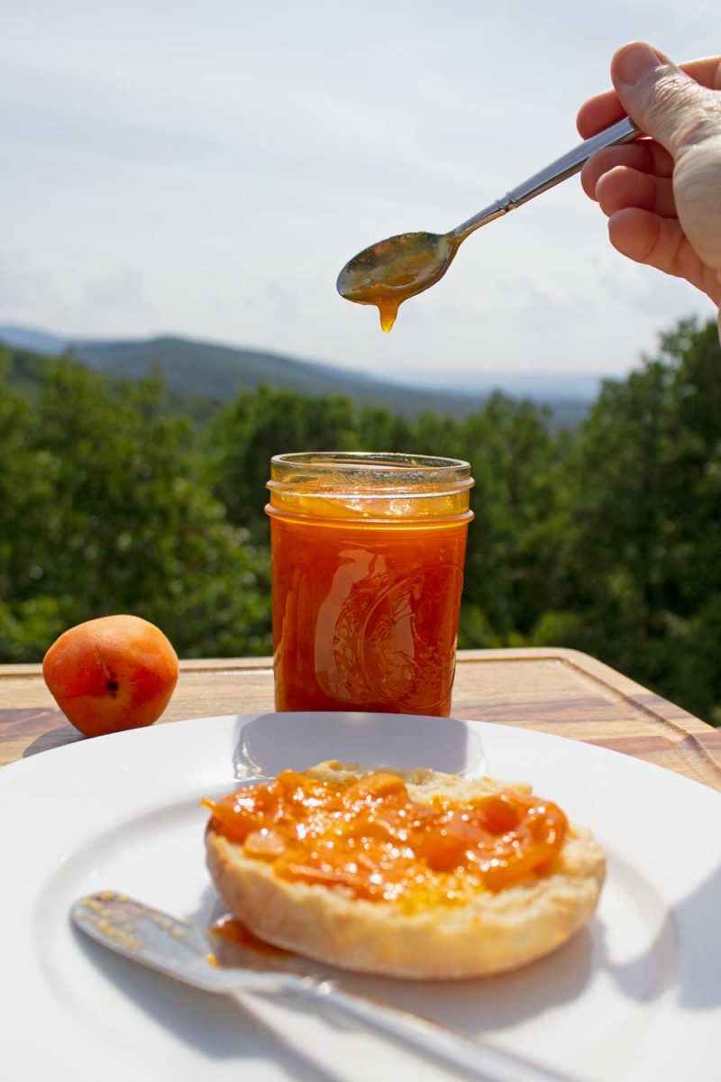 spoon of apricot jam with english muffin and mountain view