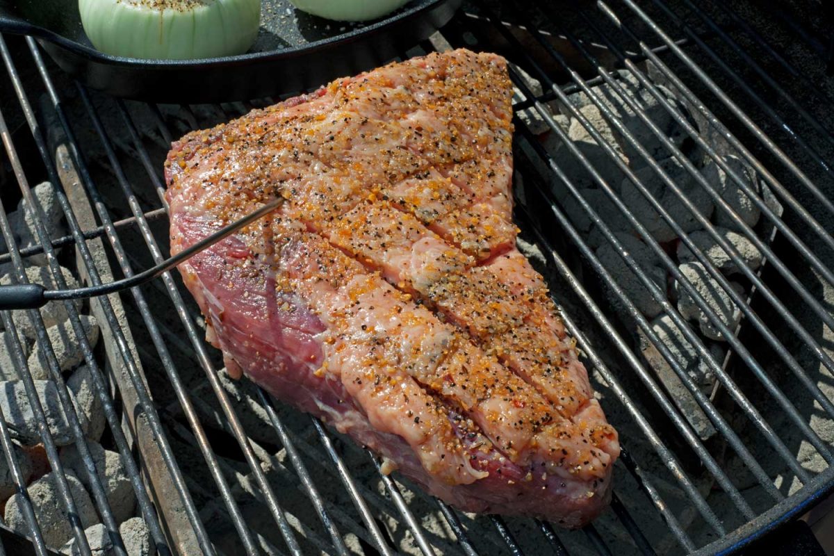 tri tip with probe thermometer
