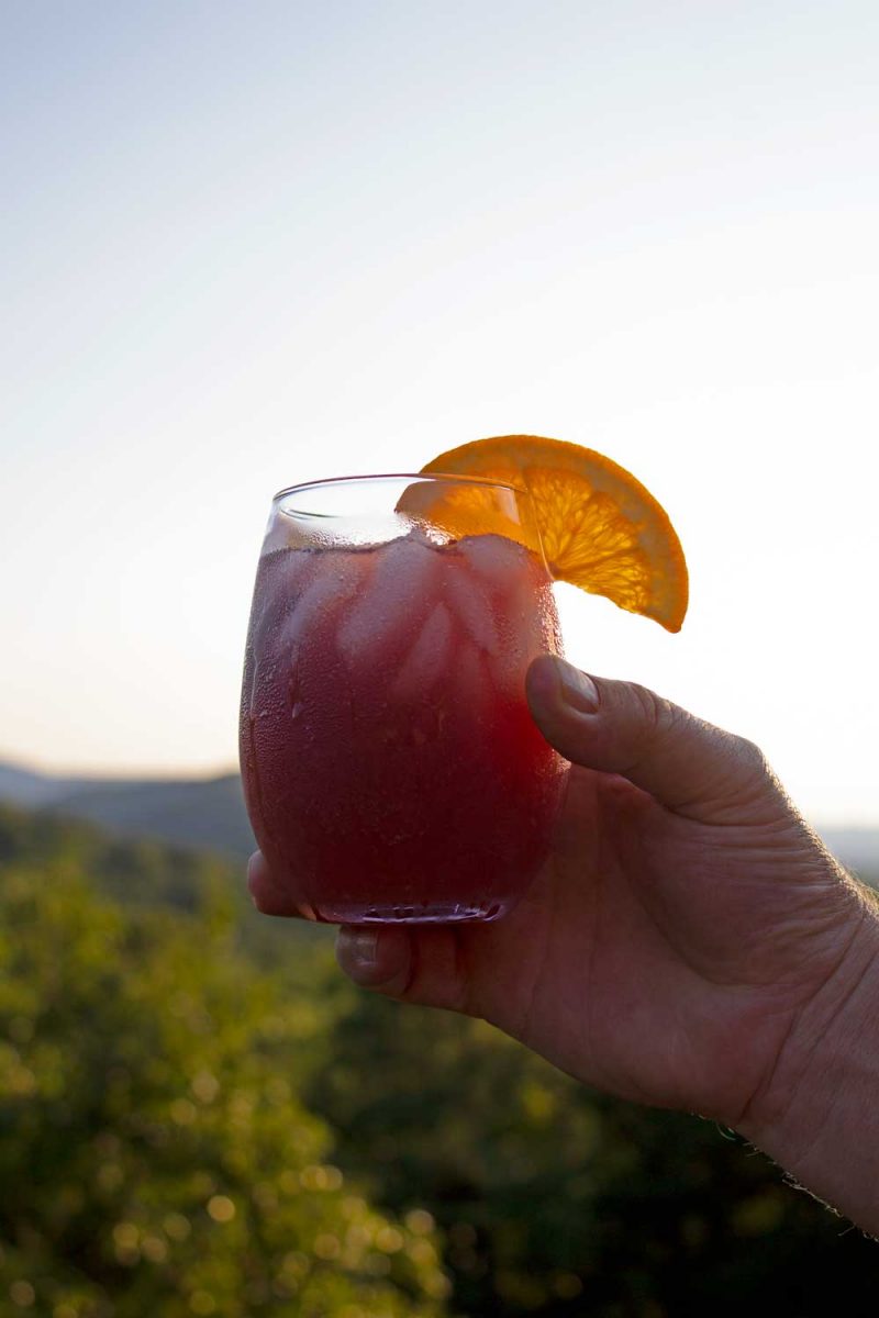 hand holding up glass of sangria with mountain view