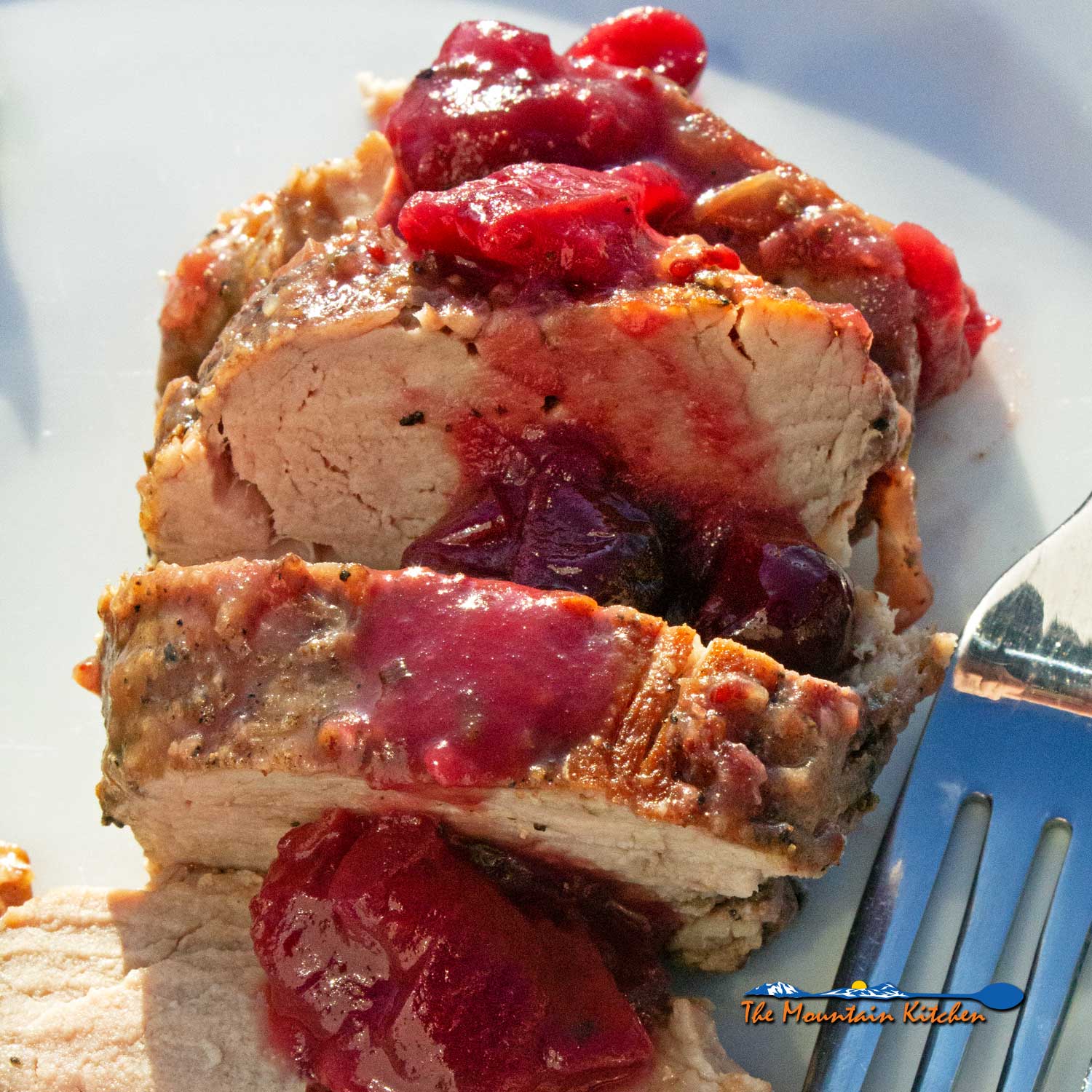 Pork tenderloin with cranberry sauce sliced on plate