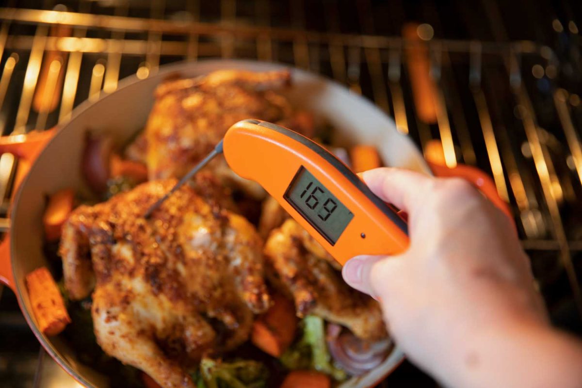 checking temperature of hen with instant-read thermometer