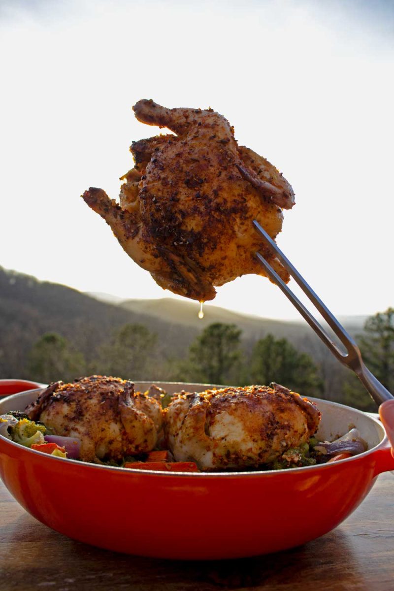 hen dripping from fork