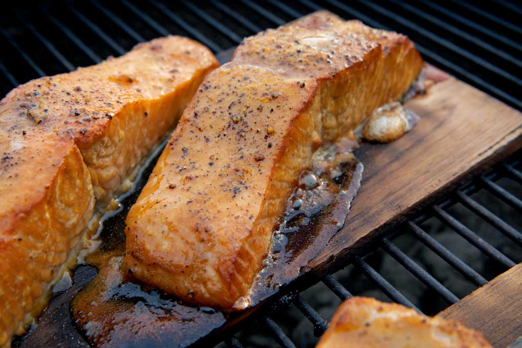 salmon grilling on cedar plank