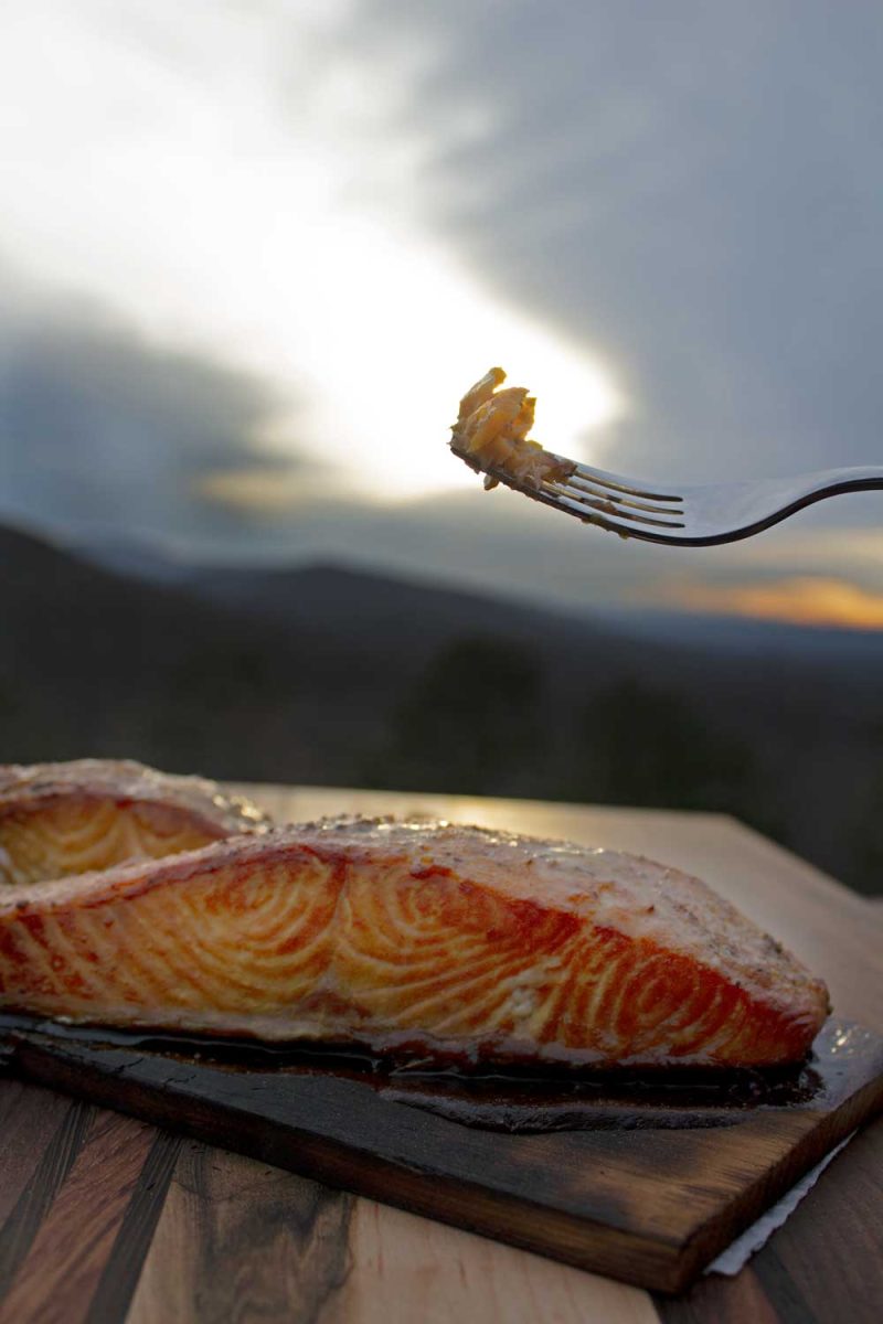 fork holding bite of salmon over fillet