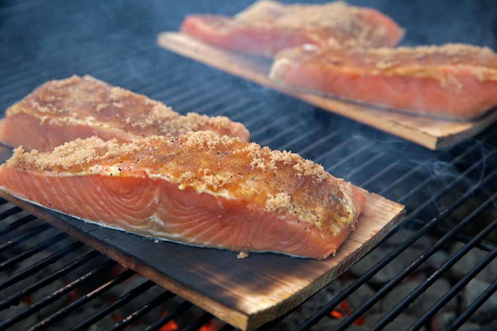 salmon grilling on cedar planks