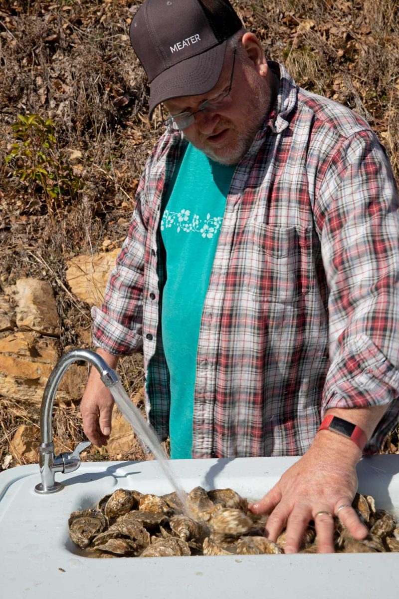 David Scrubbing Oysters