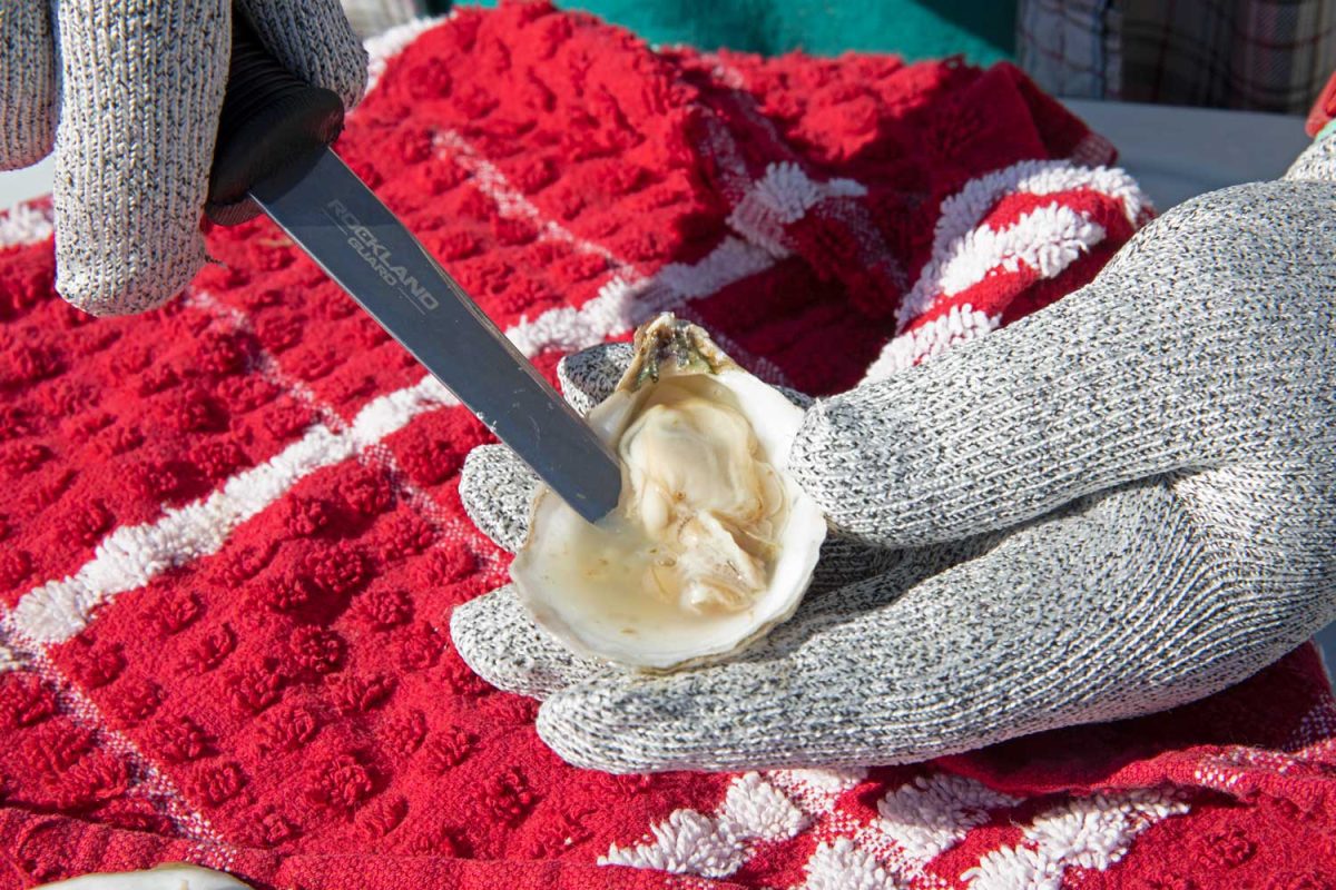 oyster on halfshell