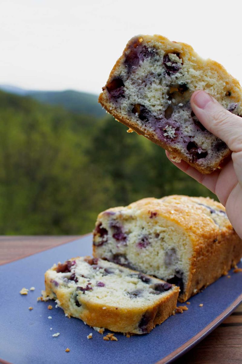 hand holding up slice of blueberry bread