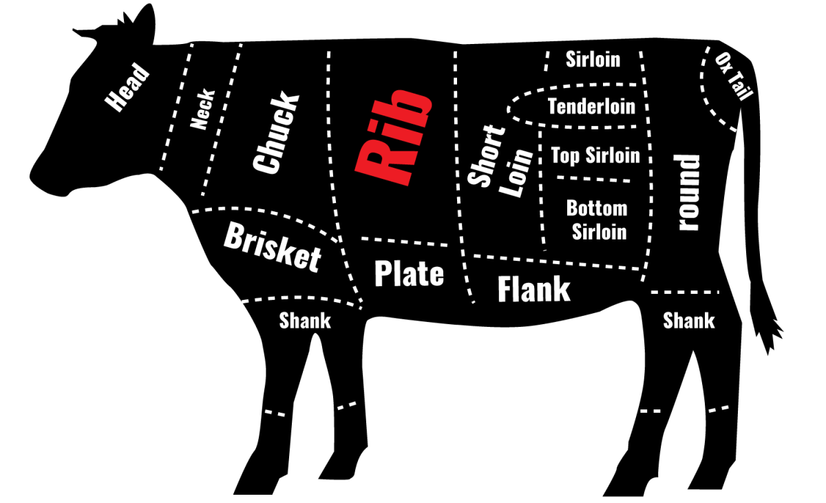 cow diagram showing rib portion of the cow