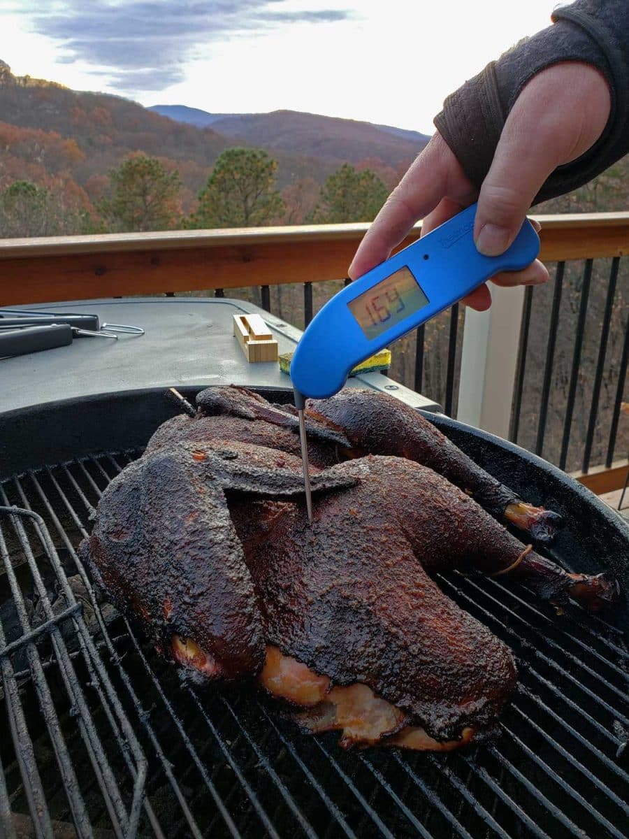 checking temperature with instant-read