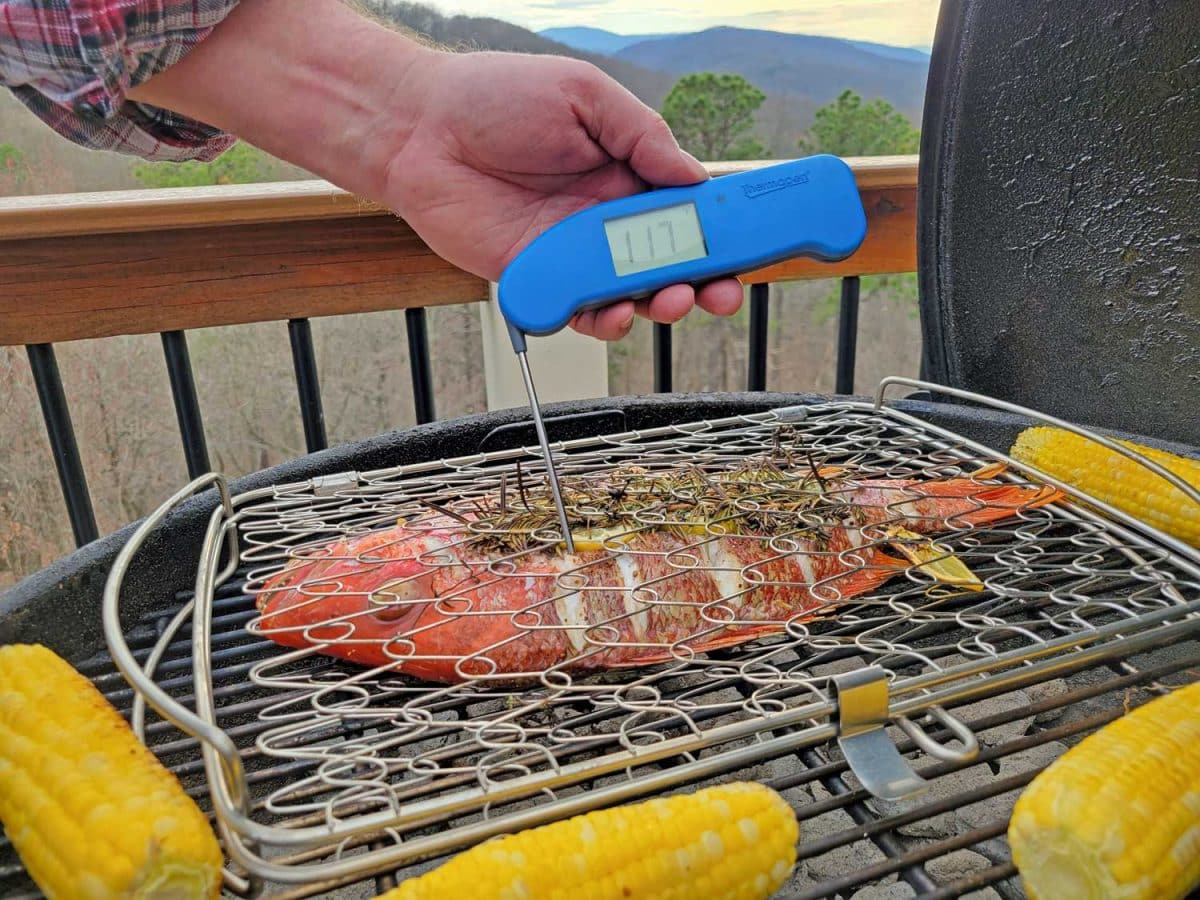 checking internal temp of fish with instant-read thermometer