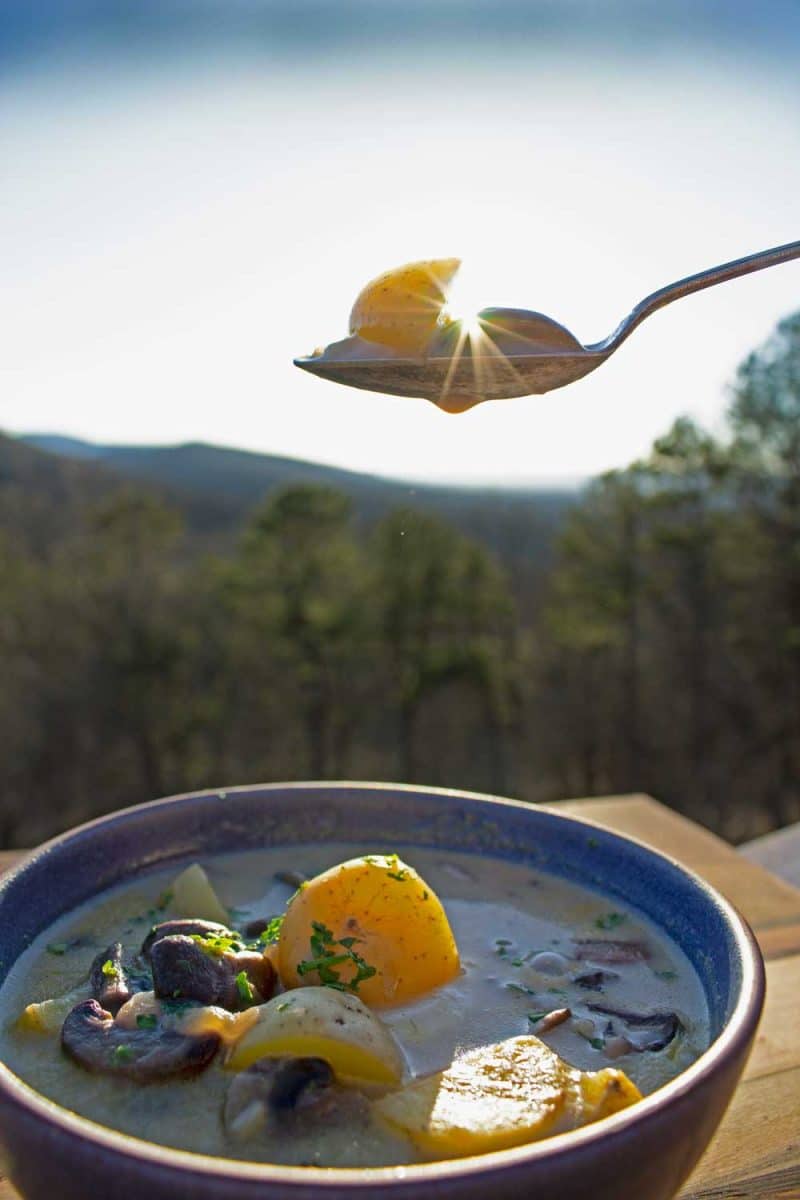 spoonful of chowder over bowl