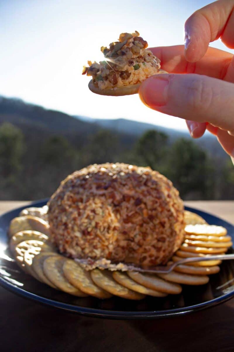 cheese ball on cracker