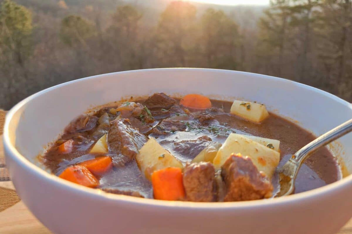 steaming bowl of venison stew
