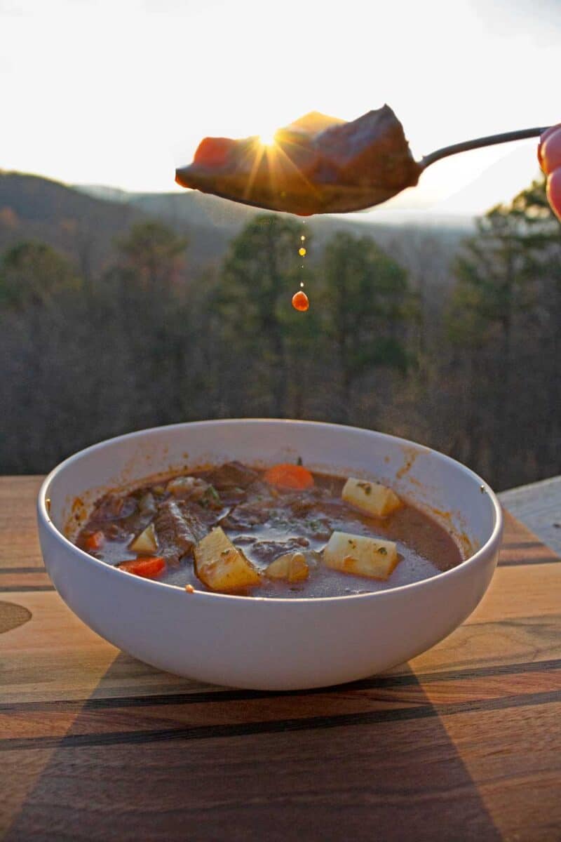 dripping spoon of venison stew