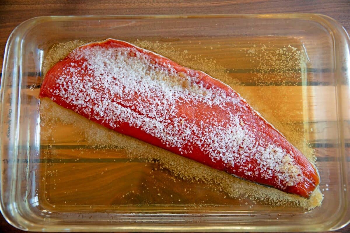 salmon cured with dry brine