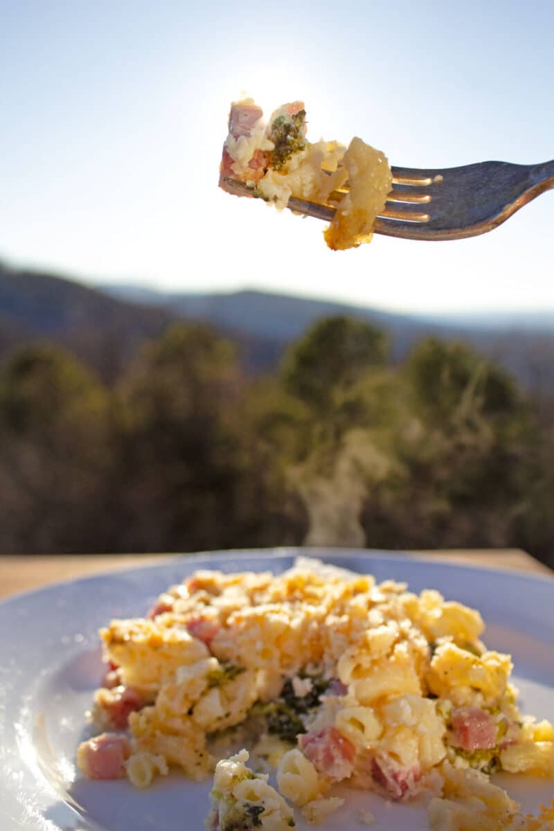 fork over steaming pile of ham and broccoli macaroni and cheese