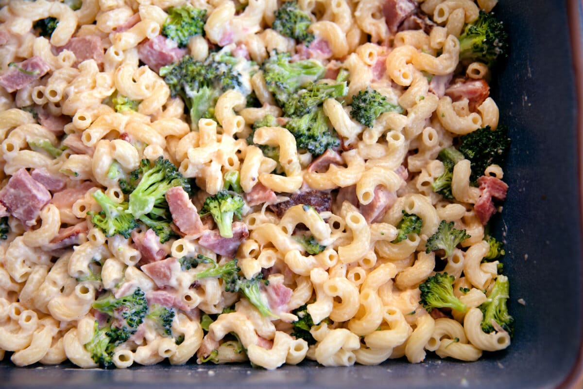 casserole dish of elbow pasta ham and broccoli