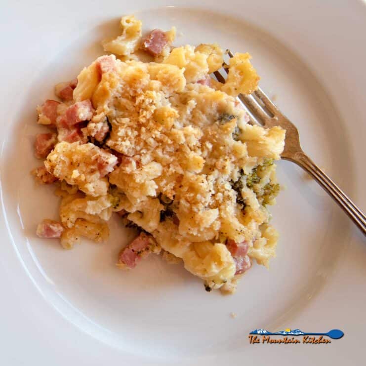 ham and broccoli macaroni and cheese