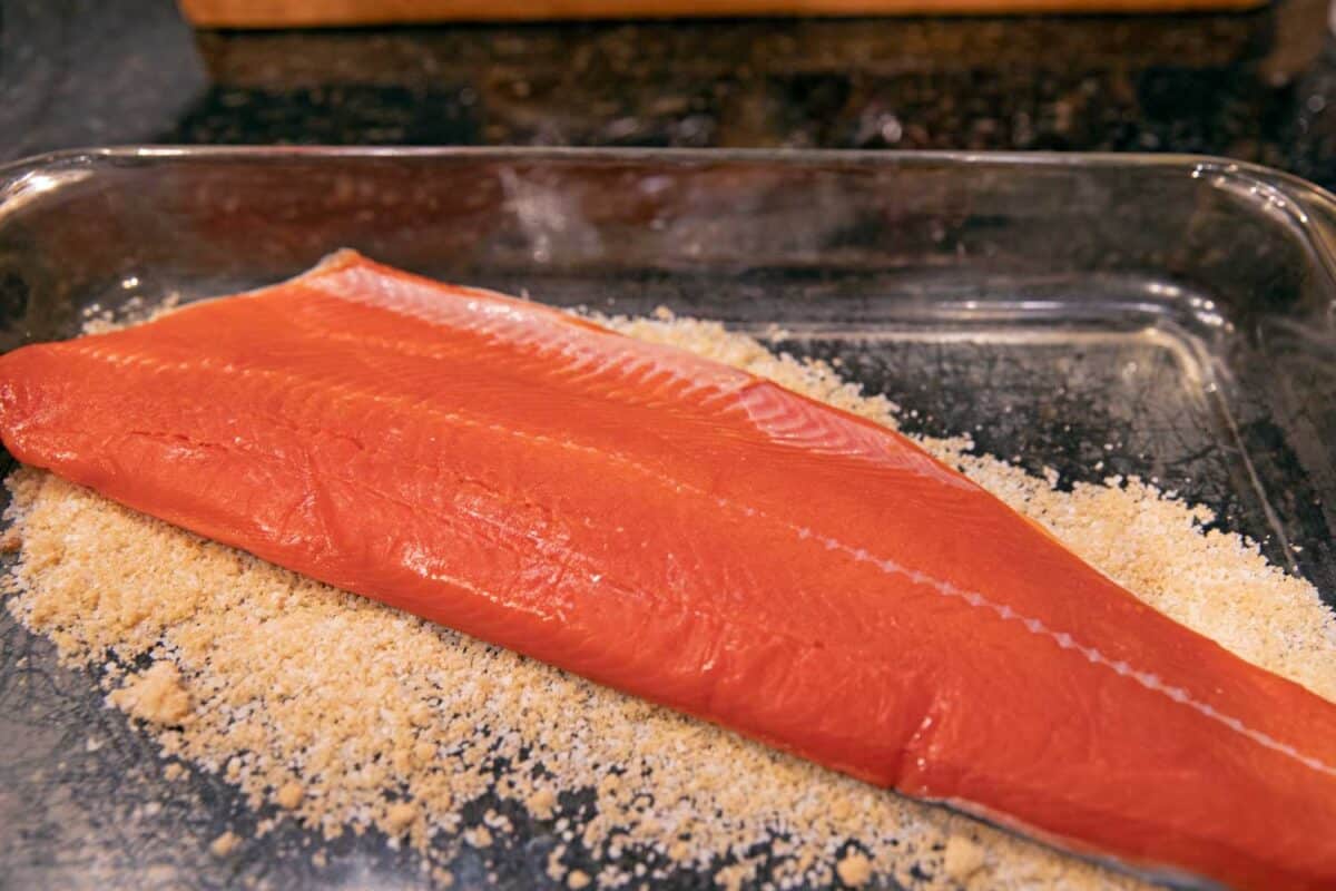 salmon in dish with dry brine mixture