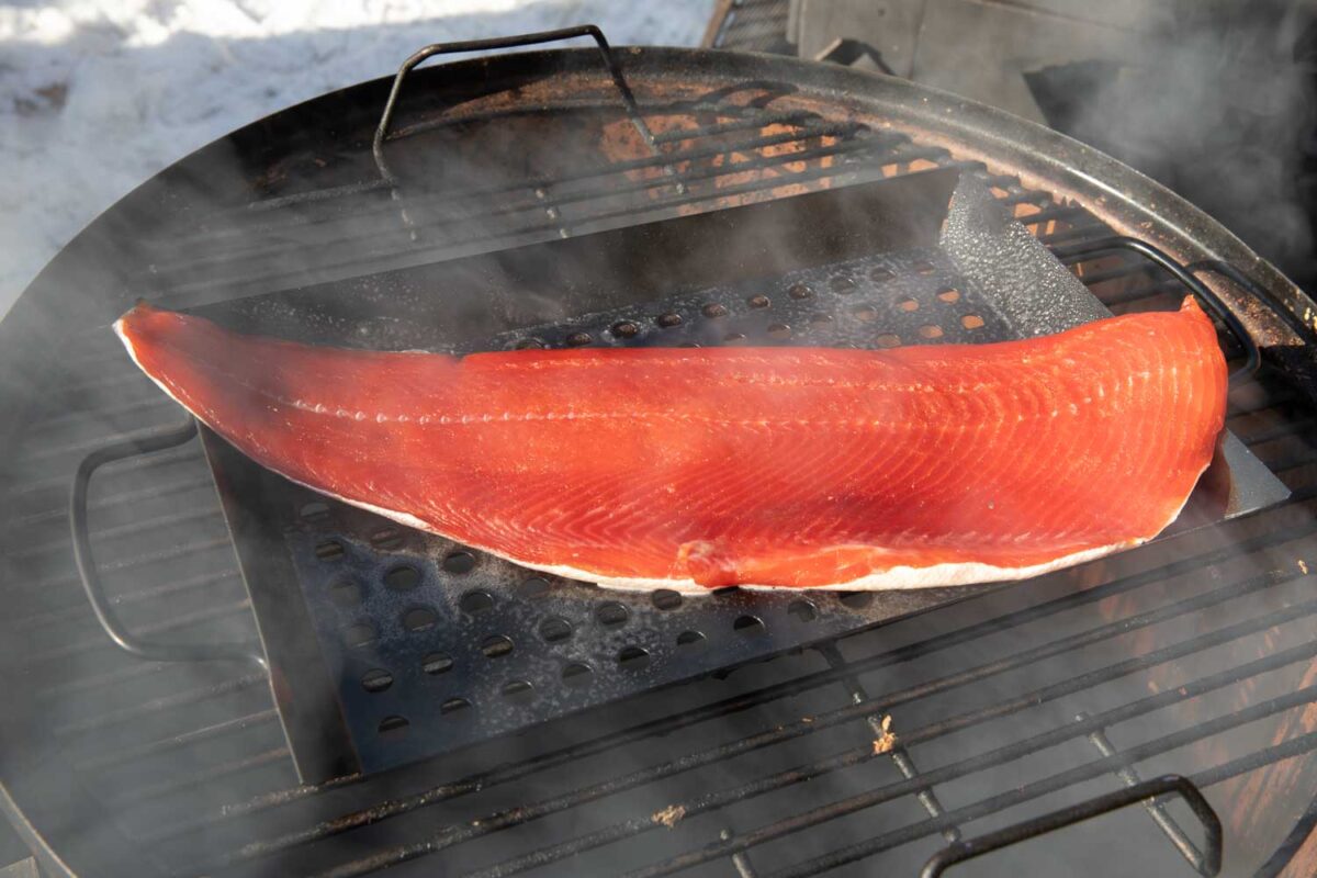 salmon smoking on smoker with dry brine