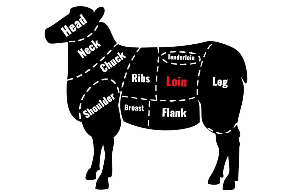 lamb cut diagram
