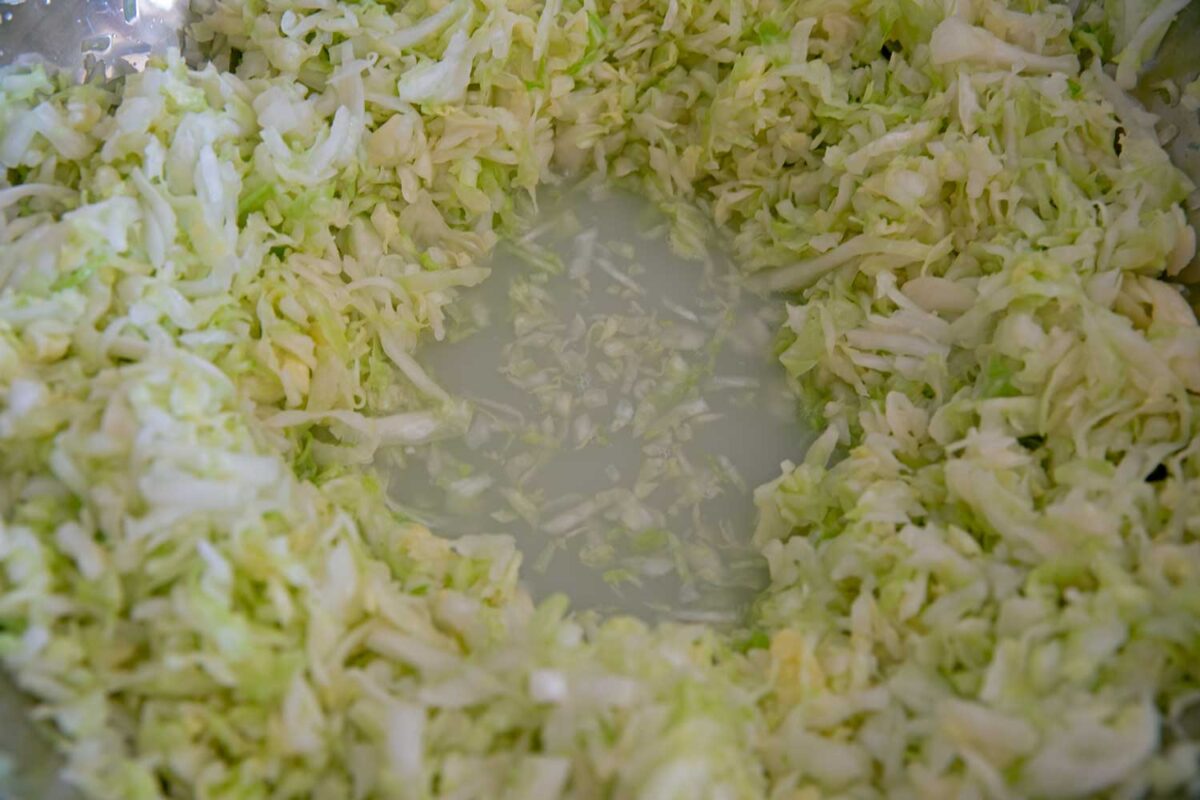 bowl of shredded cabbage with natural brine in bottom