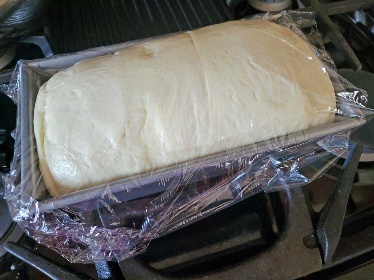 bread dough rising in loaf pan with plastic wrap